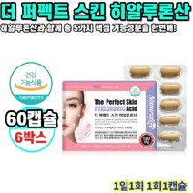 히알루론산 더 퍼펙트 스킨 60캡슐 6박스 12개월분