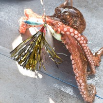 백야 문어 거꾸로 반짝이 2단채비 4개입 문어채비 야광채비, 골드(4개세트), 4개