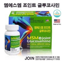 엠에스엠 MSM 조인트 글루코사민 관절 통증 영양제