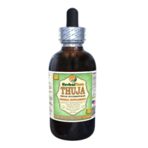 허벌테라 측백나무 측백엽 추출물 60ml Thuja Occidentalis, 1개