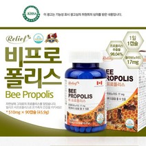 캐나다 꿀벌 프로폴리스 90캡슐 3개월분 영양제 기관지 플라보노이드 플로폴리스 항산화 수용성 구강건강 그린 어린이 키즈 유아 아기 추천