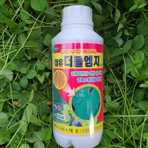 가뭄 습해 장마 토양불량에따른 잎황화현상 해결 엽록소 형성증진 광합성 증대 과실 당도 크기 증대 고농축 마그네슘 고토 비료 더블엠지500ml