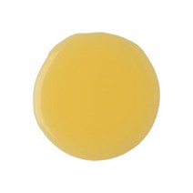 Lush 러쉬 허니 아이 워시드 더 키즈 샤워젤 600g Honey I Washed The Kids SHOWER GEL, 1개