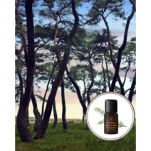 이가네 사모님들몰) O&3 100% 에센셜오일 10ml 6종택1, 라벤터