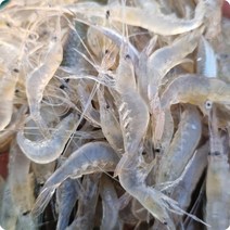 국내산 민물새우 1kg 생새우 새우젓 매운탕 천연식자재