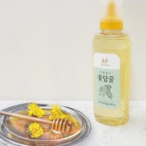 두레생협 아카시아꿀(500생꿀 성원경)두레생협 아카시아꿀 두레생협아카시아꿀 꿀 건강식품, 본상품