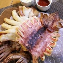 산지직송 국내산 영덕 반건조 오징어 5미 10미, 반건조 오징어 소소 10미 (600g)