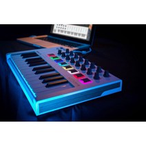 Arturia MINILAB MKII 범용 MIDI 컨트롤러 MiniLab MkII 키보드 컨트롤러는 공간 절약형 패키지에 25개의 슬림 키 16개의 손잡이 8개의 패드 및 터