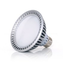룩스램 LED PAR30 15W 확산형 LED전구 LED조명, 주광색, 주광색