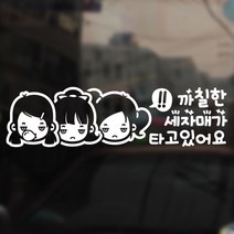 [텐바이텐] 까칠한 세자매가 타고 있어요, 1개