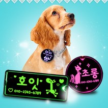 LED강아지 이름표 사각롱, 그린_사각롱