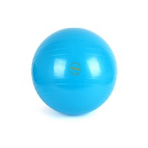 TROVIS 프리미엄짐볼, 55/스카이블루