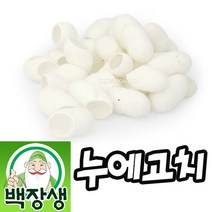 백장생 누에고치 (누에고치세안), 100개