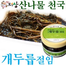 804팔도보부상]개두릅(엄나무순)]절임]500g58451산나물천국, 500g, 1개