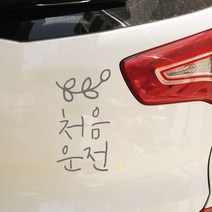 자동차 스티커_심플_처음운전_잎, 연회
