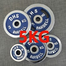 DHS 도금원판, 5kg