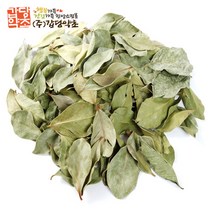 갑당약초 구아바잎차100g 한방차, 4개, 100g