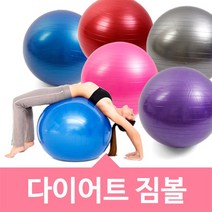 위시 짐볼(은색)65cm + 발펌프, 은색