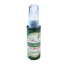 호산 편백 신발 실내 차량 냄새 제거 탈취제, 50g, 1개, 50ml