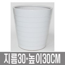 화분백화점 대형화분005, 대형화분