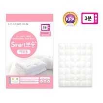 반복사용가능 제습 탈취 곰팡이억제 습기제거제 4종, 1봉, 3.이불용 105g (1개입), 1봉