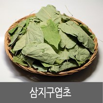 다온약초 삼지구엽초 음양곽 100g, 1개