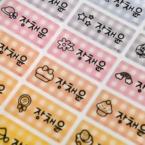 미르네임 1+1 방수 네임스티커 사각(가로형) 중형, 체크9색펄 큐티걸 중형, 1set