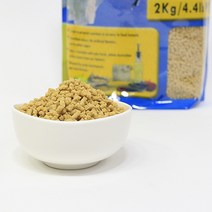 베타팜 모든 앵무새용 MD 펠렛 사료, 2kg, 1개