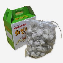 이홈베이킹 냉동다진마늘블럭1kg(스페인산) - 아이스박스 별도구매제품, 단품