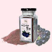 영주마실 무농약 아로니아분말, 100g, 1개