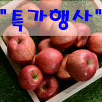 청송 꿀 사과, 5Kg(15-16과), 실속 선물용 (대)