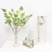 아트앤트리 미니어쳐 꼬마나무, 꼬마 자작나무, 1개