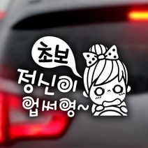 제제데코 초보운전 안전운전 차량 스티커 02, 040_정신이업써영초보_반사