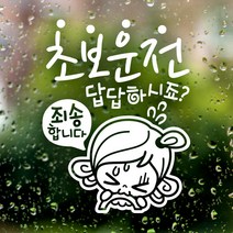 제제데코 초보운전 안전운전 차량 스티커 03, 074_초보답답초순이_반사