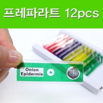 프레파라트(채소 식물 곤충 동물) 12pcs