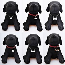 온다펫 1+1 써지컬 강아지 고양이 목걸이 인식표, 원형m+체인m, 1
