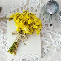 플라라 드라이플라워카드 엽서 액자 선물용 인테리어소품, A03 노란 안개꽃 미니카드