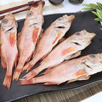 파란별건어물 [속초직송] 쫄깃하고 담백한 맛 반건조 열갱이(열기 장문볼락) 26cm 열갱이, 5마리