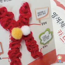 사이언스존 [염색체 카드(유전과 진화 성염색체 상염색체) 5인용] 과학실험 과학교구 과학실험키트 창의력 학습교구