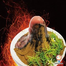 사이언스존 [화산 폭발(화산활동) 5인용] 과학실험 과학교구 과학실험키트 창의력 학습교구