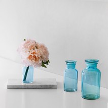 크리스탈 블루 시약병(500ml), 단품