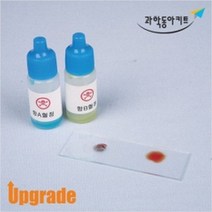 혈액형판정(10명세트)