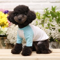 펫디자인 라인나그랑 티셔츠 강아지옷, 민트