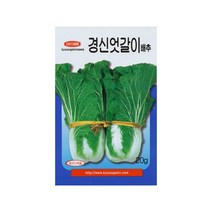 경신엇갈이배추씨앗 20g