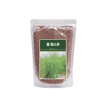 양잔디씨앗 톨훼스큐 10kg