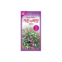 수입야생화씨앗 100선 로벨리아 100립