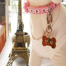 아미펫 강아지 고양이 고리형 이름표 인식표 D형고리 실버, 아기발도장 핑크, 1개