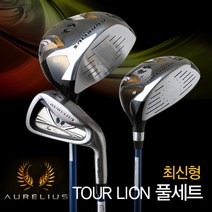 아우랠리우스 투어라이온 골프채 풀세트, 남성용 스틸 S