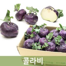 두리반농산 콜라비 10kg, 1box