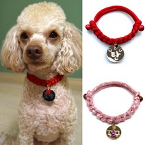 펫츠룩 가볍고예쁜 강아지 고양이 인식표 목걸이, 08데일리레드, 1개
